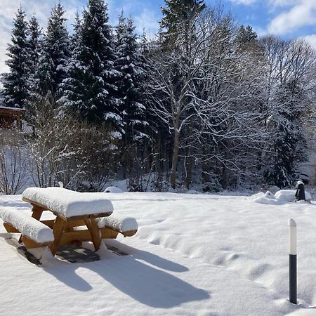La Cabane Des Ecureuils Xonrupt-Longemer Eksteriør billede