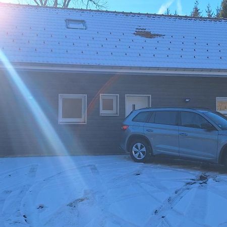 La Cabane Des Ecureuils Xonrupt-Longemer Eksteriør billede